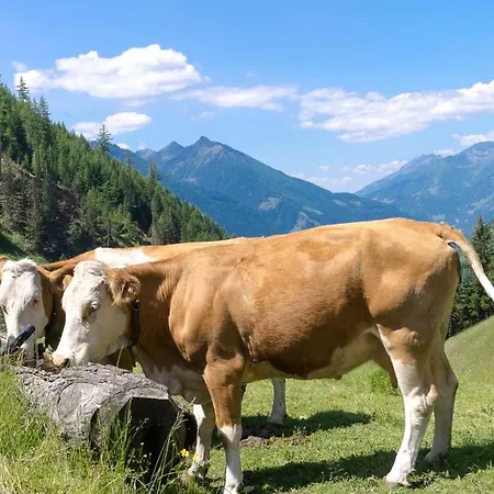 Stranighütte Chalet *