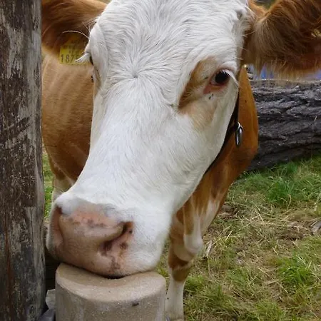 Chalet Stranighutte Obervellach