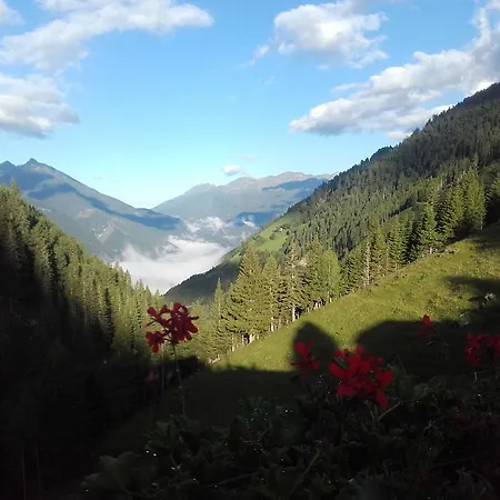 Chalet Stranighutte