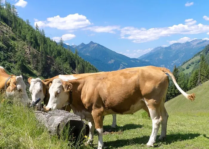 Stranighütte Chalet *