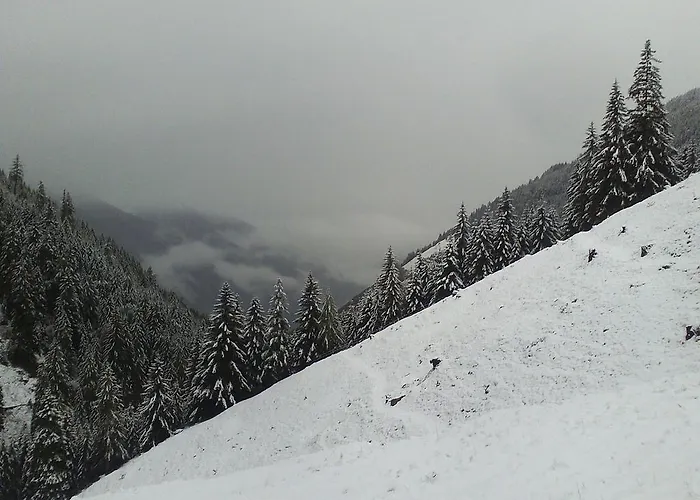 Stranighutte 木屋 *