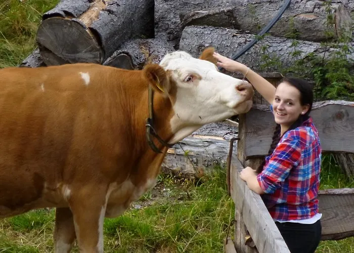 Chalet Stranighütte *